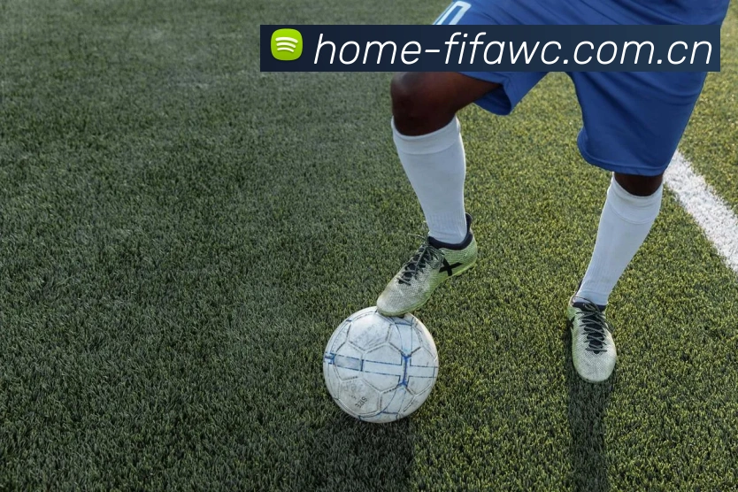 FIFA官方数据授权认证